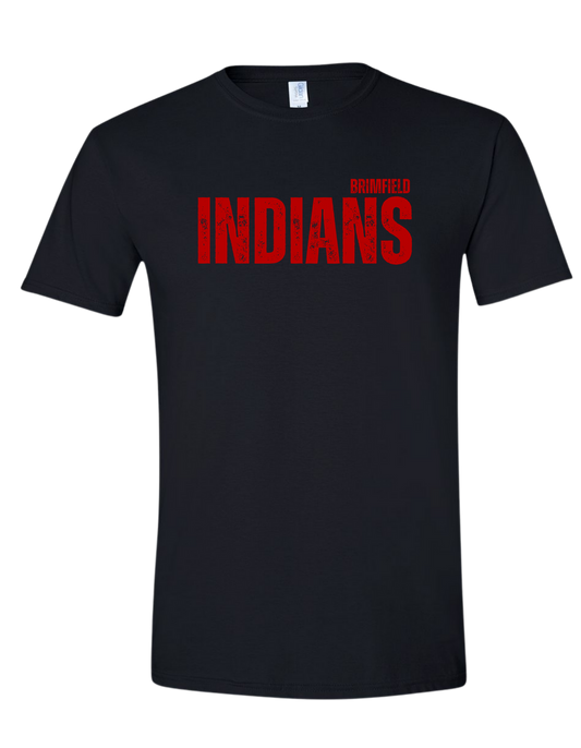 Distressed Brimfield Indians