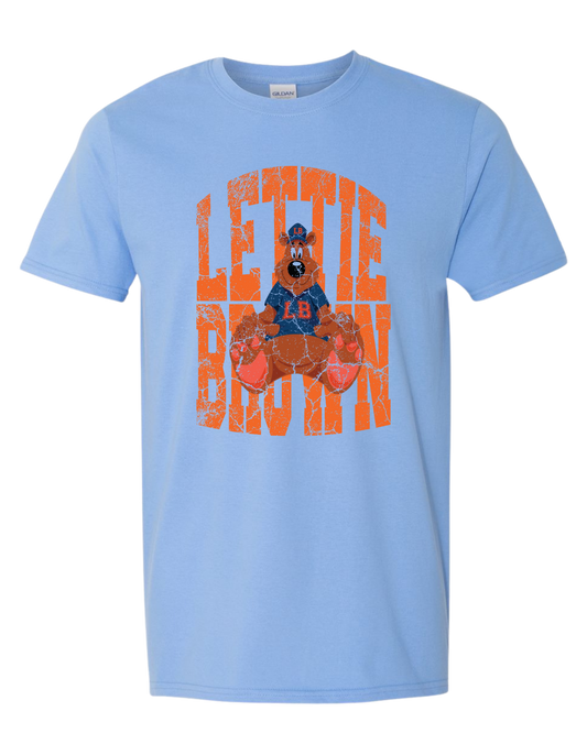 Lettie Brown Bear Distressed
