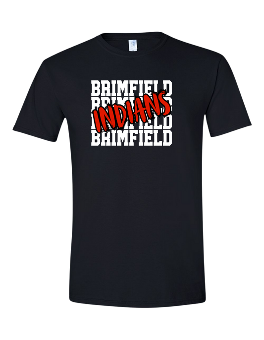 GILDAN: Brimfield Repeat Indians