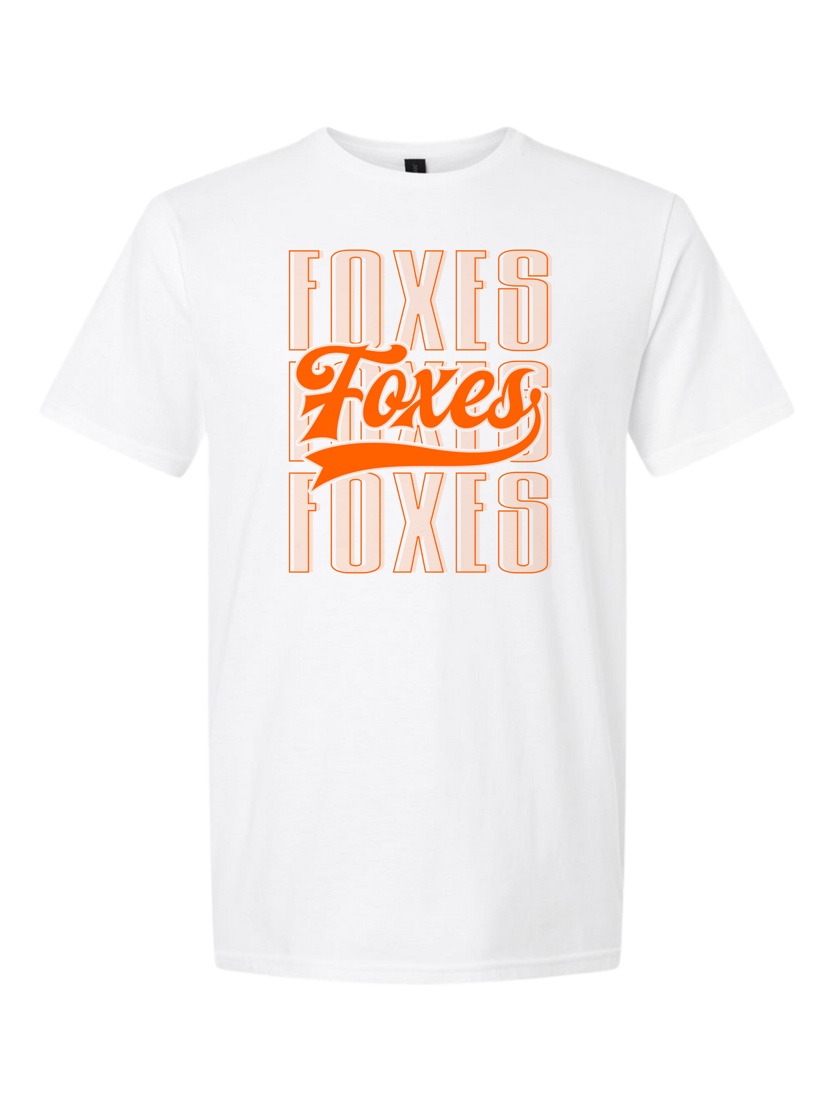 Ridgeview Foxes Varsity